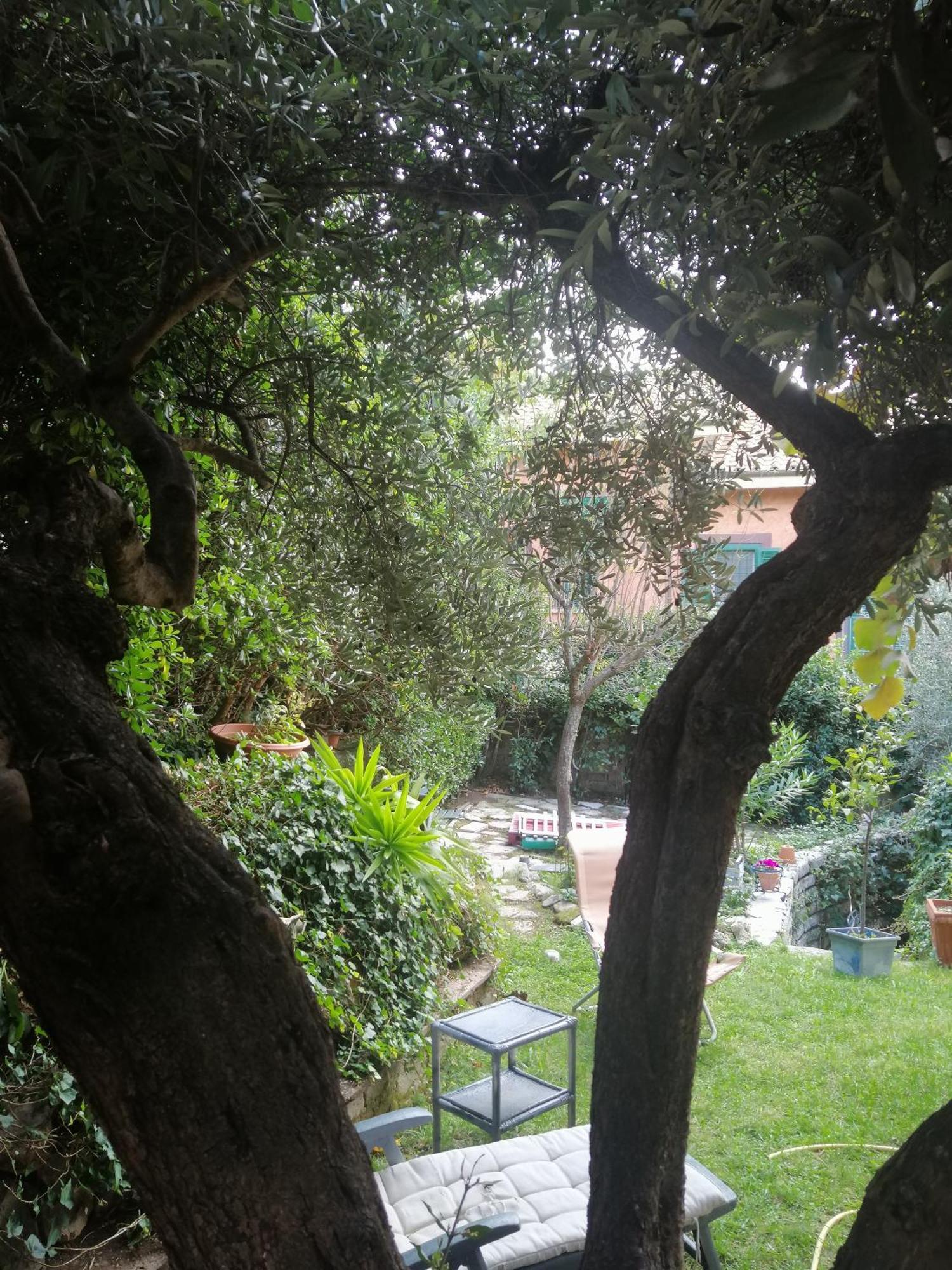 Home Shanti Grottaferrata Εξωτερικό φωτογραφία
